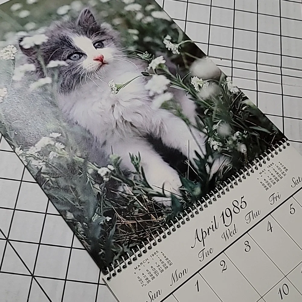 1985 Kittens Calendar by Betty Powell‎ - Vintage